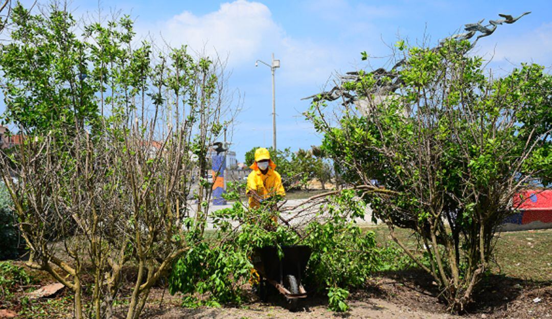 Se retiraron alrededor de 20 metros cúbicos de material vegetal, biomas, escombro y basura.