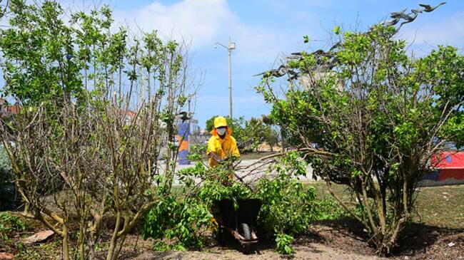 Se retiraron alrededor de 20 metros cúbicos de material vegetal, biomas, escombro y basura.