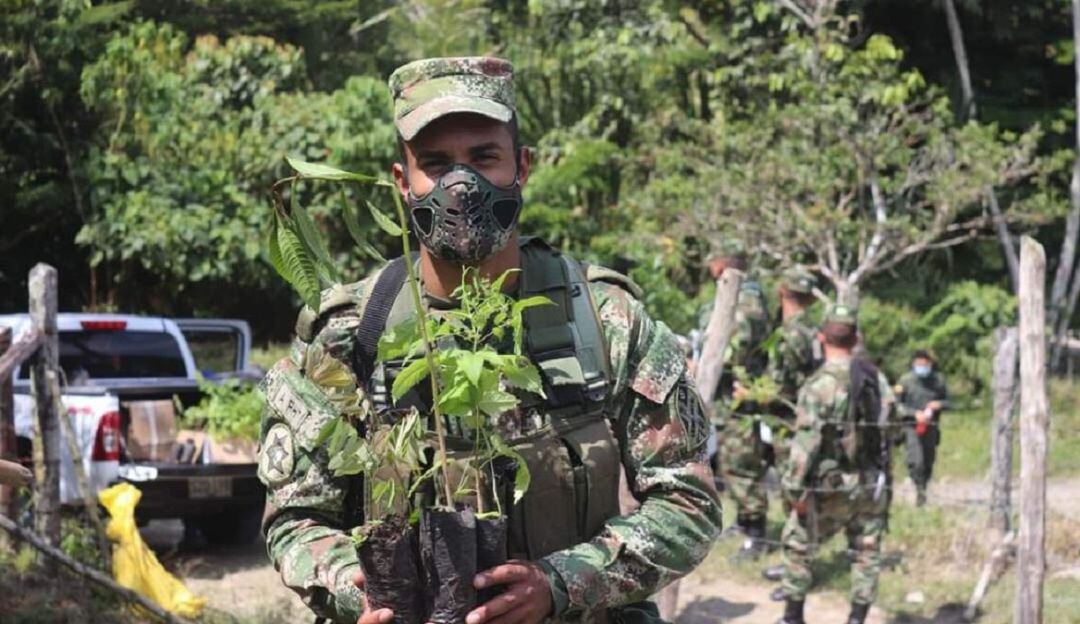 Soldados de la Octava Brigada del Ejército y la siembra de árboles en el día de la tierra