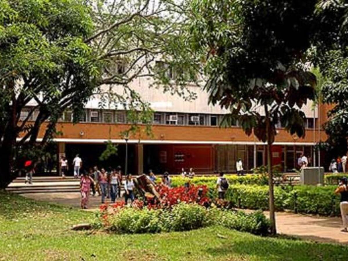 Univalle con caletas, cultivos de marihuana y microtráfico