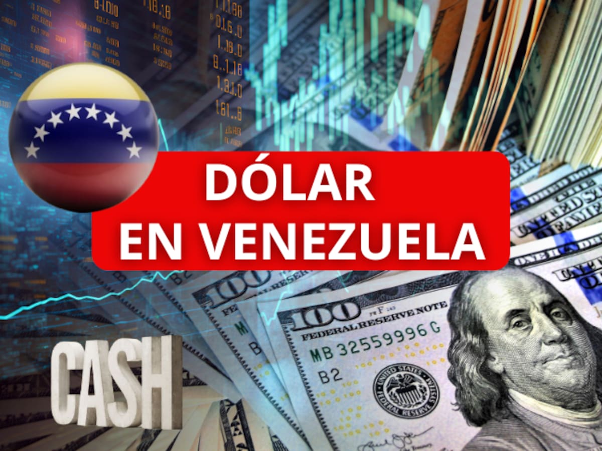 Precio del dólar en Venezuela para este 8 de octubre: ¿qué mostró el BCV?