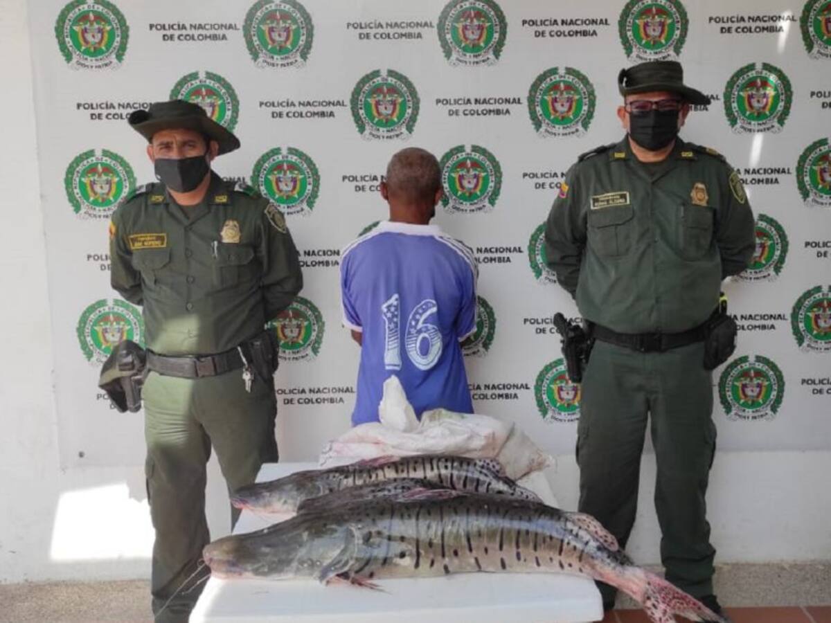 Capturaron a un hombre por violar veda del bagre rayado en Magangué