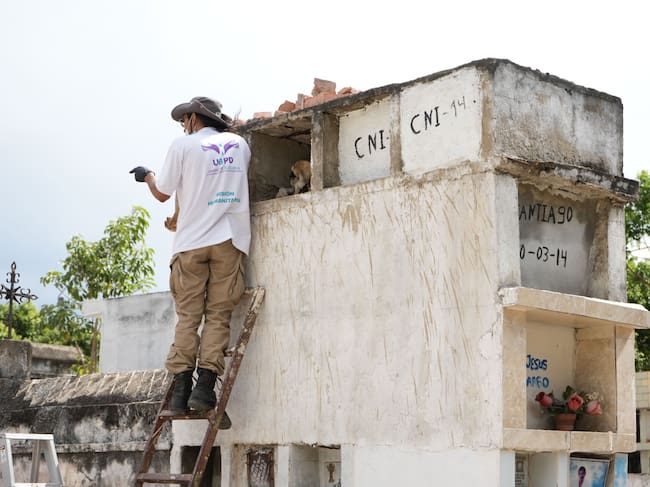 UBPD avanza en la búsqueda de personas desaparecidas en el Cementerio Municipal de El Zulia. / Foto: UBPD.