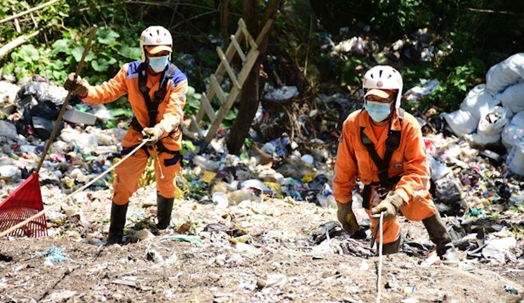 Recolección de basuras en Palmor