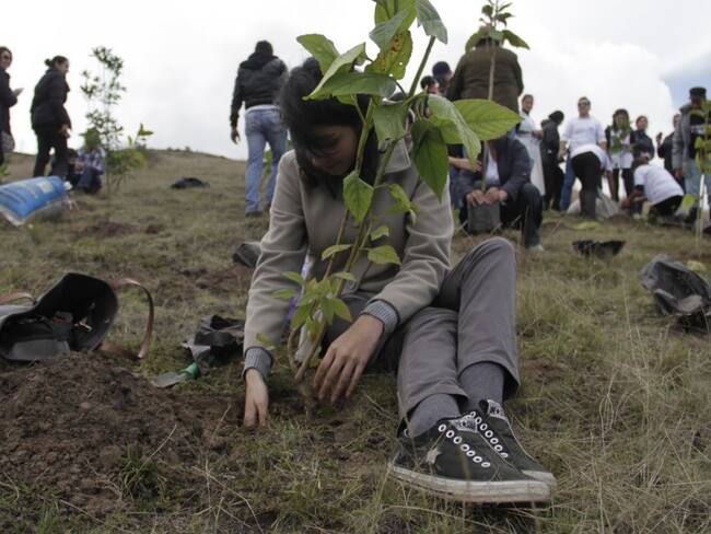 Sembrarán árboles en memoria a trabajadores de salud que murieron por COVID