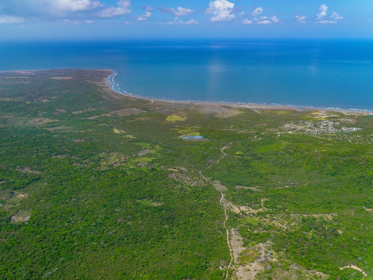 Lote de la SAE ubicado en zona norte de Cartagena entra a subasta en mayo