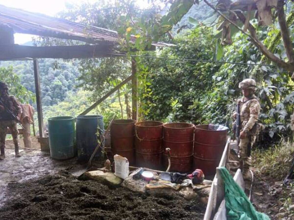 Destruidos en el sur del Cauca dos laboratorios de coca