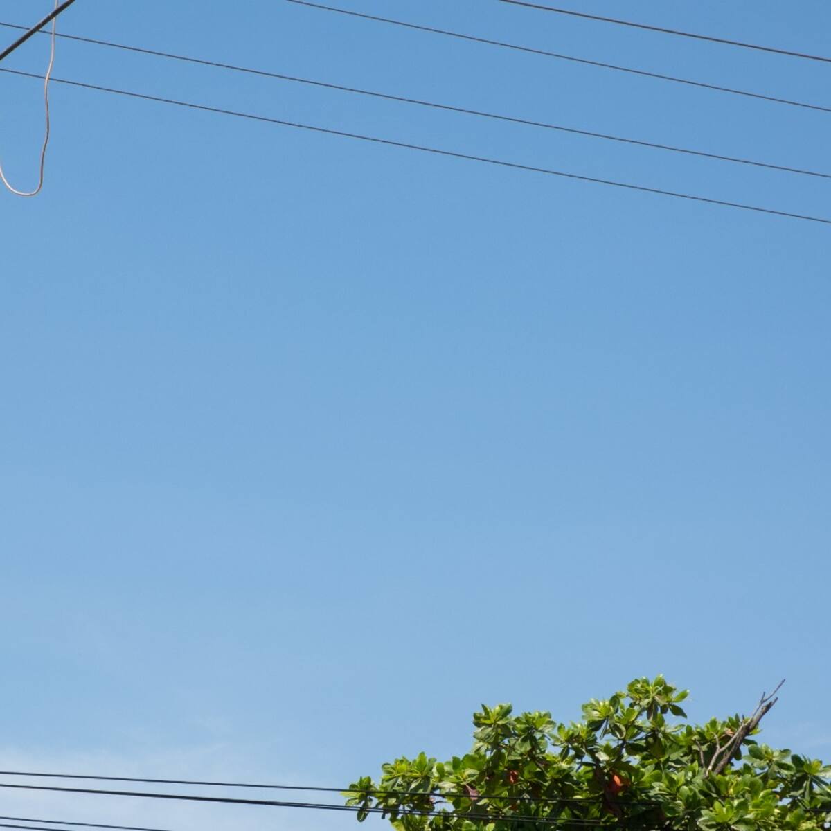 Sin luz este VIERNES 12 de diciembre en Galapa y Puerto Colombia: horario de interrupción