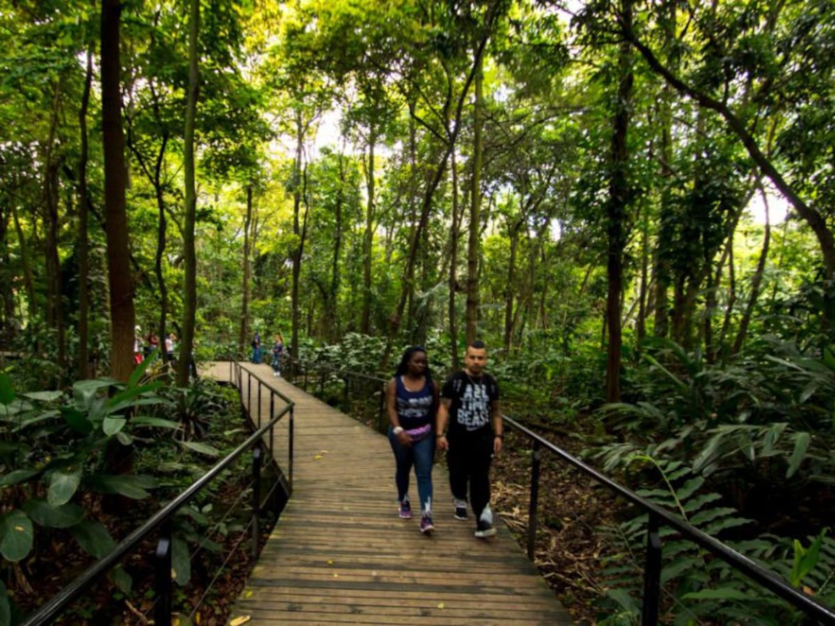 ¿Cómo es el dispositivo para evitar saqueos al Jardín Botánico?