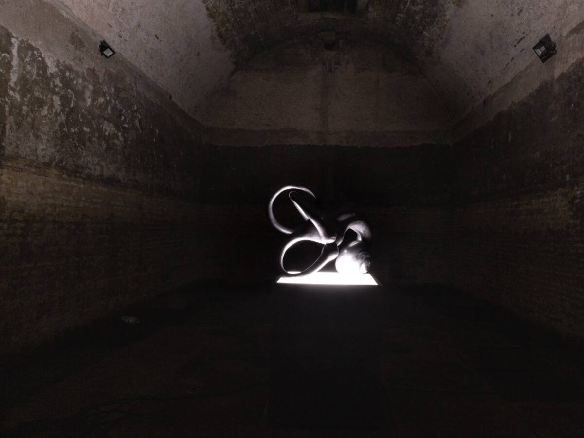 Fósil acústico: la instalación artística que estará en el baluarte de Santa Catalina