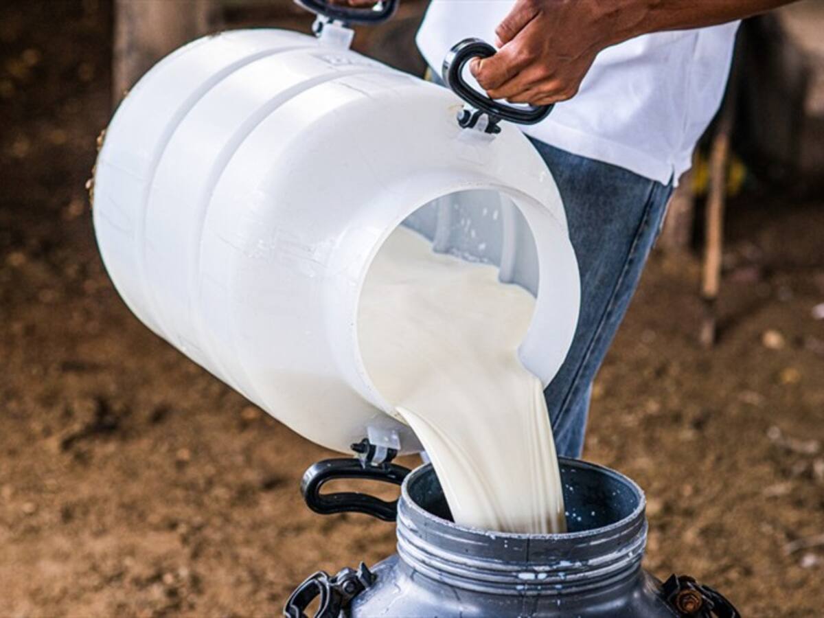 Gobierno anuncia Kits para aliviar a lecheros en pérdida en Boyacá y 9 departamentos