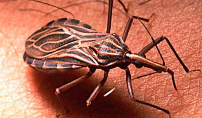 Transmisor del Chagas 
