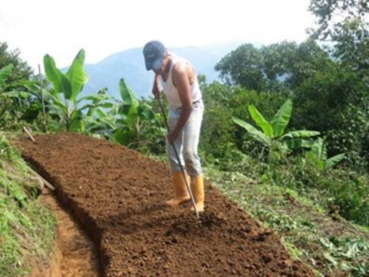 Imputarán cargos a 16 empresarios y exfuncionarios del Incoder por robo de tierras