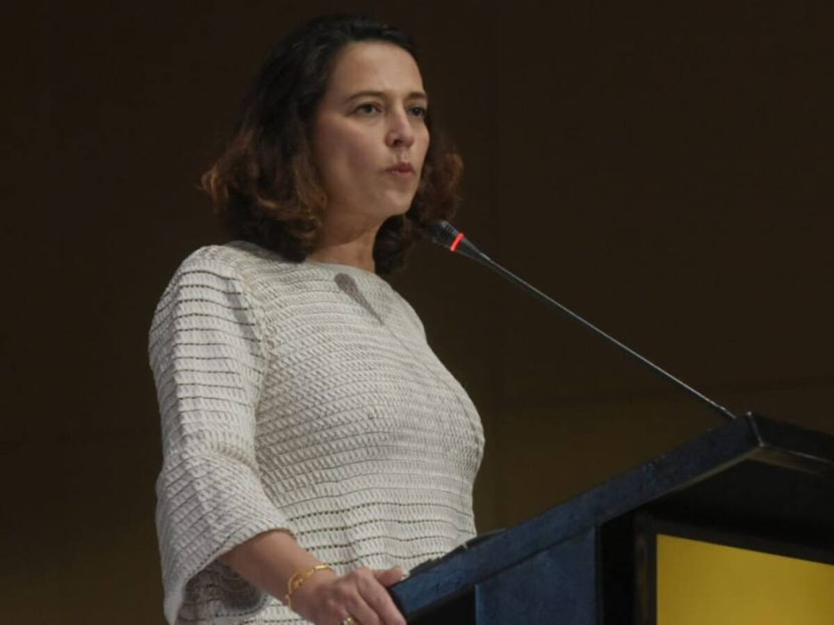 MinInterior dice que sí ha atendido alertas de la Defensoría en Chocó