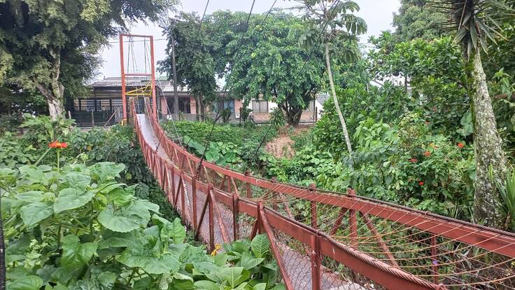 Informe caso de intervención en el puente