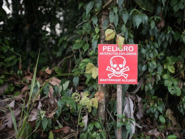 Procuraduría pide fortalecer la política contra minas antipersonal
