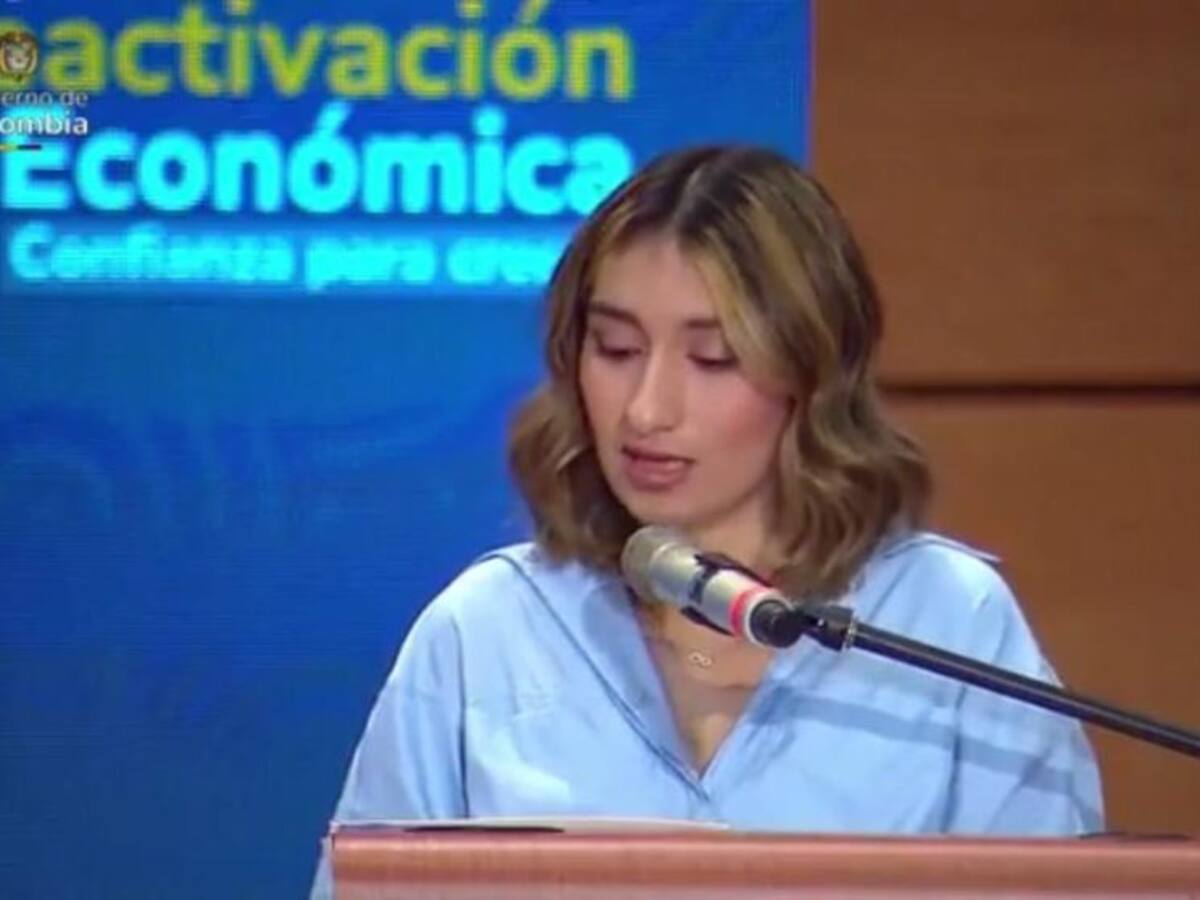 En seis semanas el Gobierno Nacional presentará el plan de reactivación económica