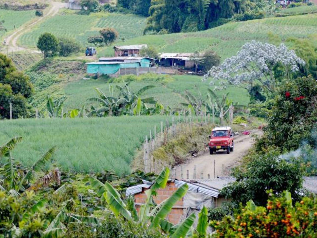 Cambio en estratificación de predios rurales afecta a Altagracia