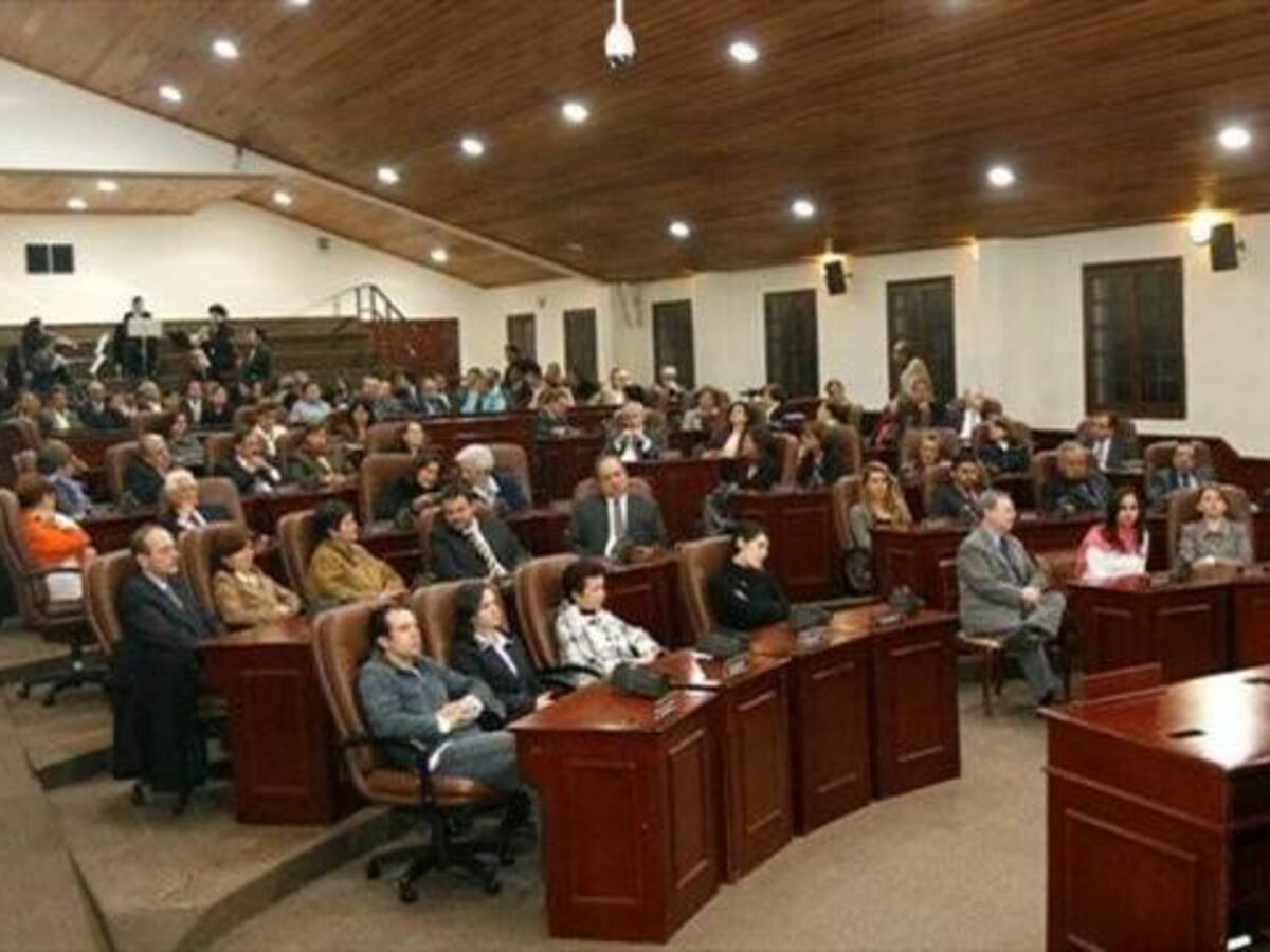 Puertas abiertas a proyectos del alcalde Petro: presidenta del Concejo