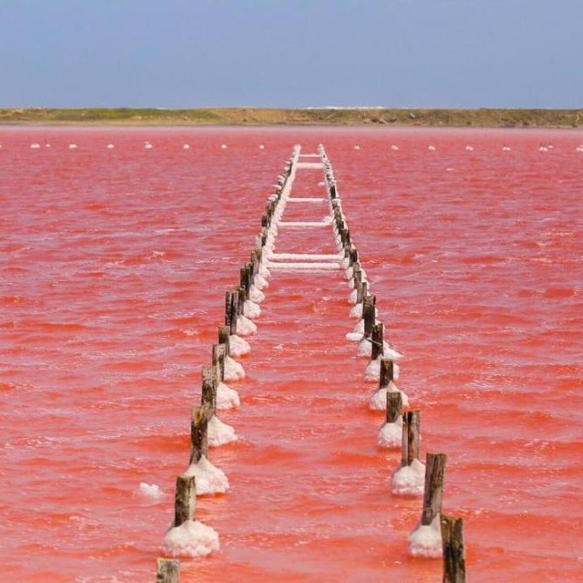 Único municipio de Bolívar que tiene playa aparte de Cartagena: ¿Cuántos habitantes tiene?
