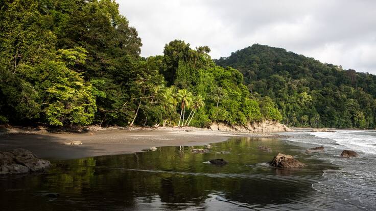 Antiguos cazadores hoy toman fotos de fenilos en el Chocó