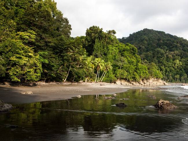 Antiguos cazadores hoy toman fotos de fenilos en el Chocó