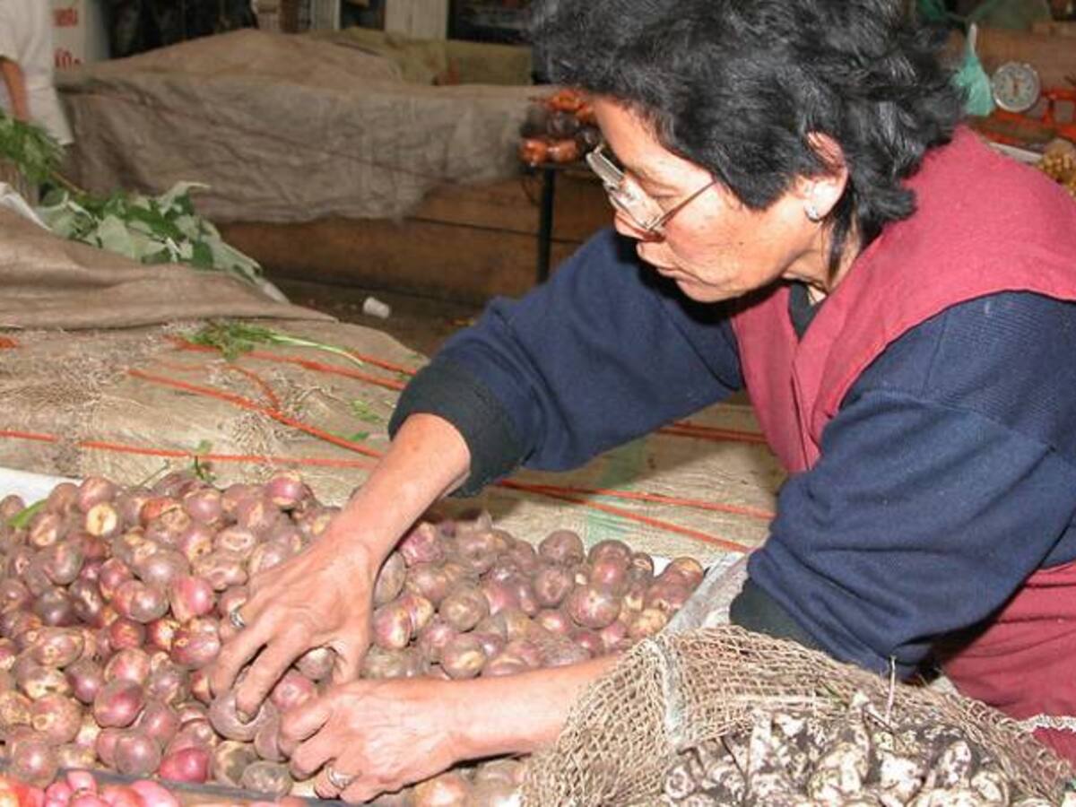 El aumento en los precios de los alimentos es exorbitante: Conalco