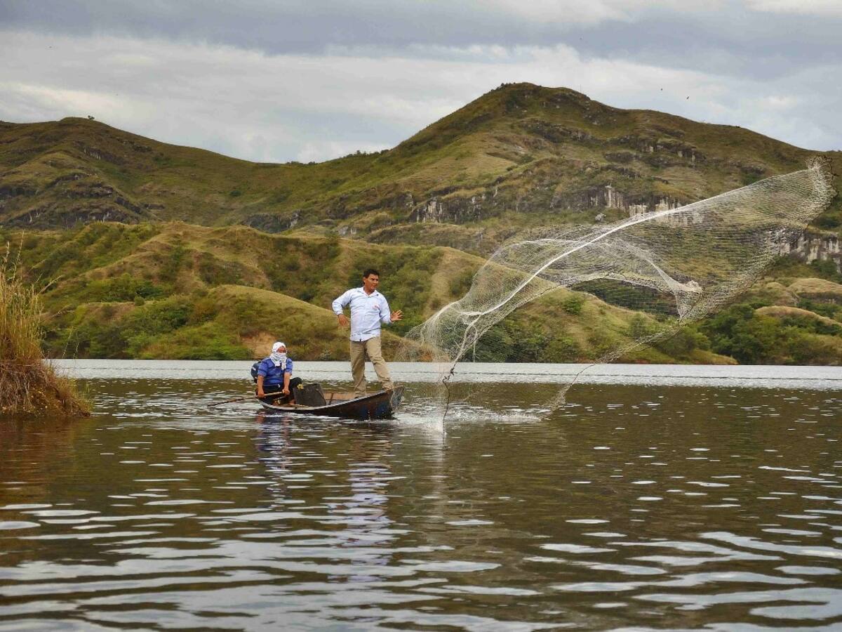 En el Huila fue vedada la pesca del bagre rayado