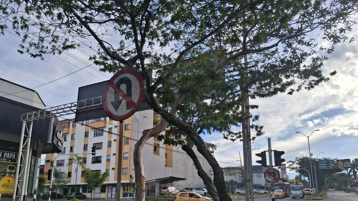 Lunes 14 de julio, las noticias más importantes de Armenia y Quindío