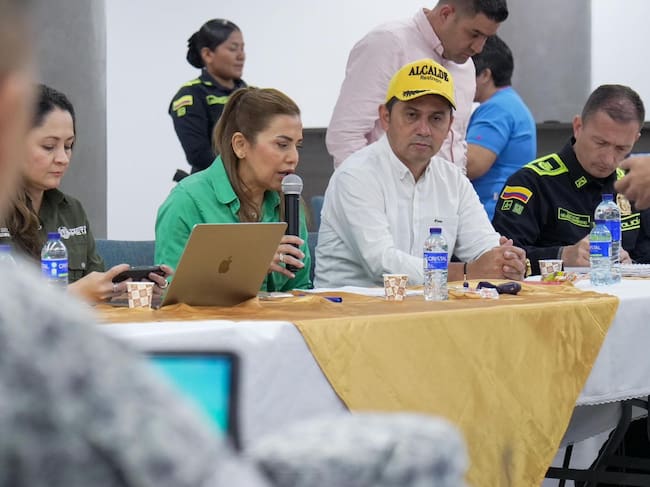 Consejo de Seguridad en el departamento del Meta