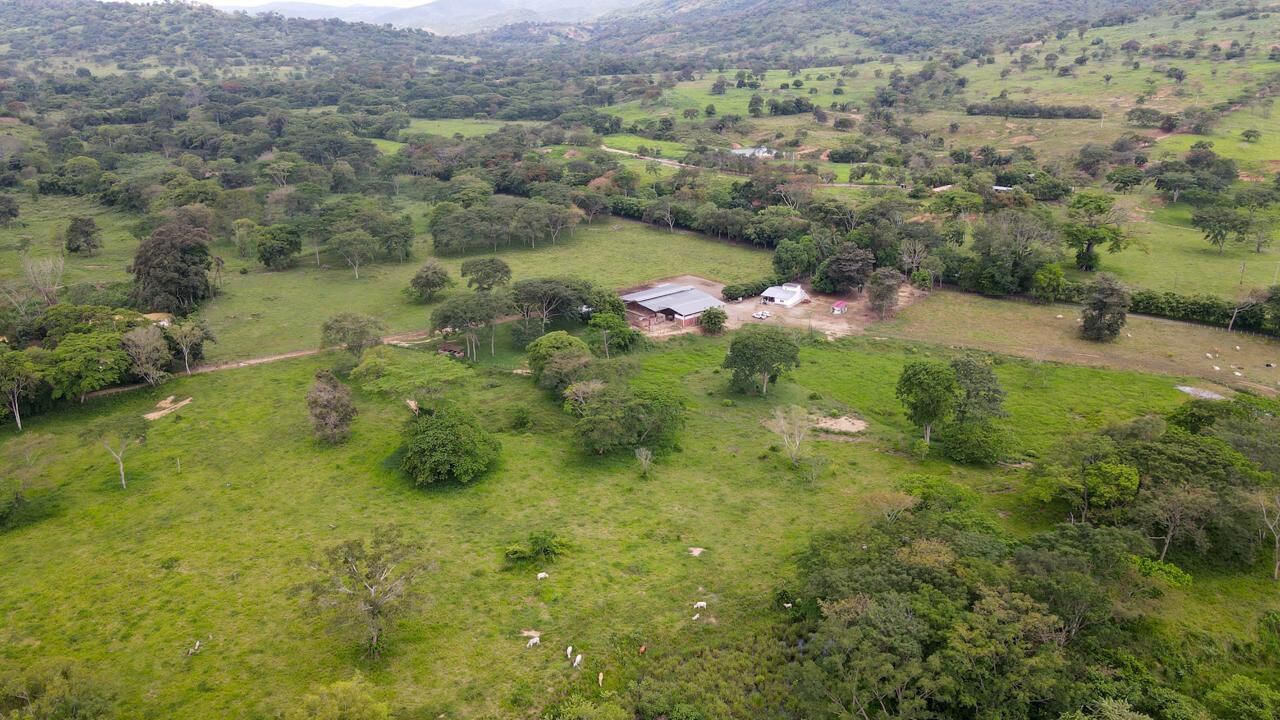 Área donde se proyecta reubicación de firmantes de paz / Foto ARN