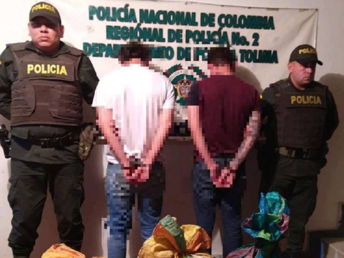 Incautan 98 kilos de marihuana que tenían como destino Ibagué