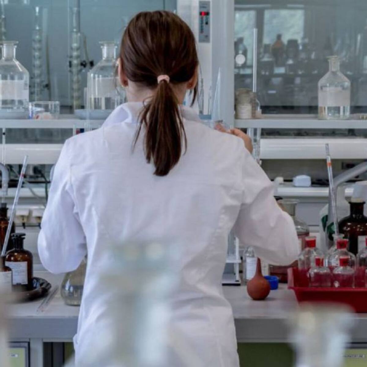 Instituto Humboldt halla 7 nuevas especies para la ciencia en Boyacá