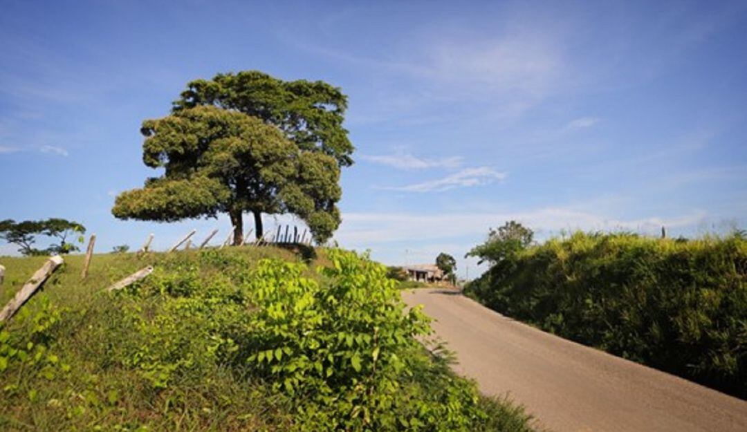 Para la subregión PDET de los Montes de María se encuentran habilitados tres proyectos enfocados en el sector de educación.