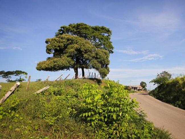 Para la subregión PDET de los Montes de María se encuentran habilitados tres proyectos enfocados en el sector de educación.