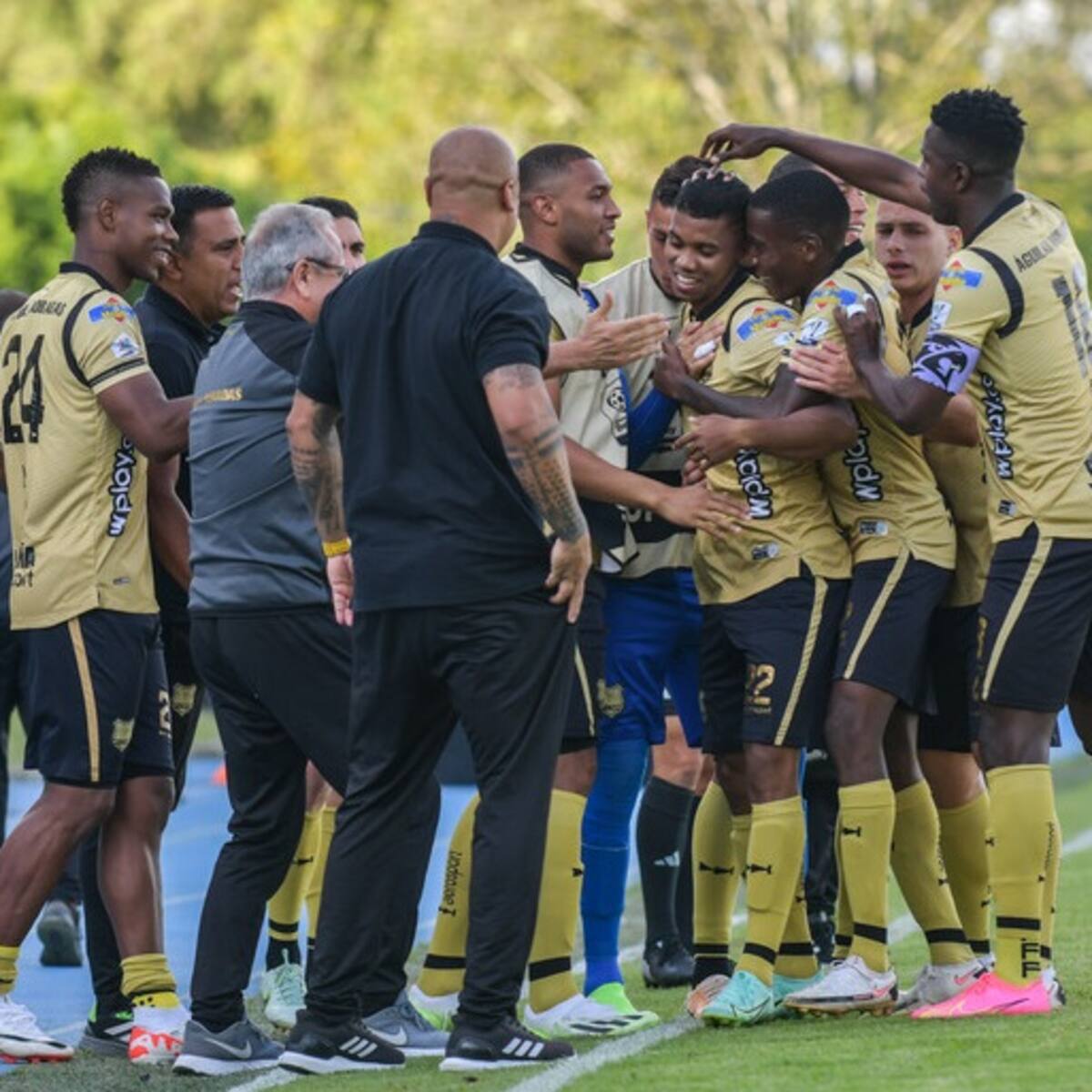 Águilas hace historia: el primer equipo en avanzar a cuadrangulares de manera invicta