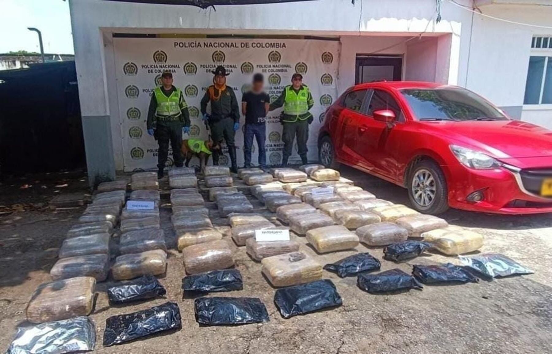 Incautación de Marihuana en Vías del Tolima