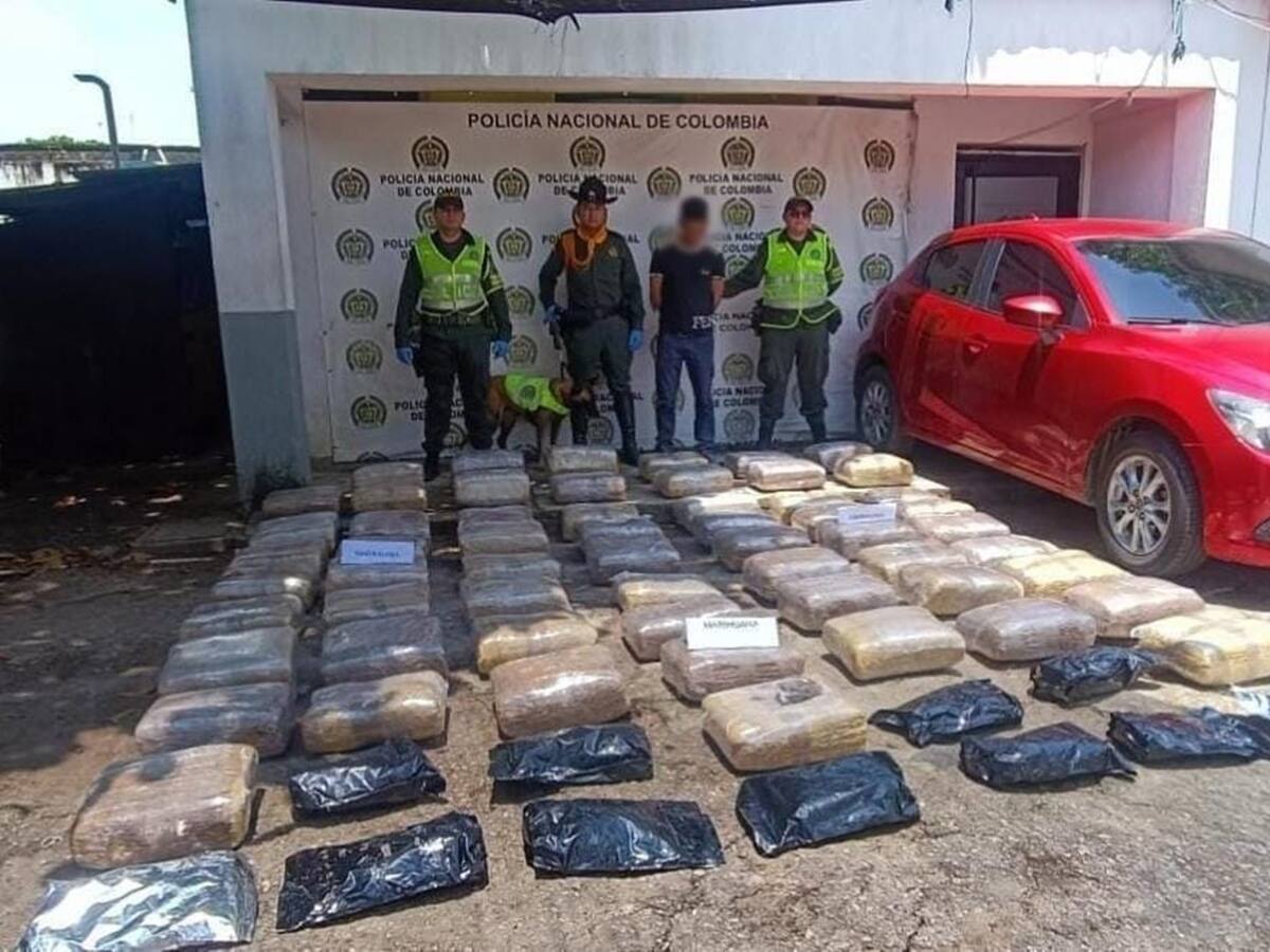 Incautan más de $500 millones en marihuana en vías del Tolima