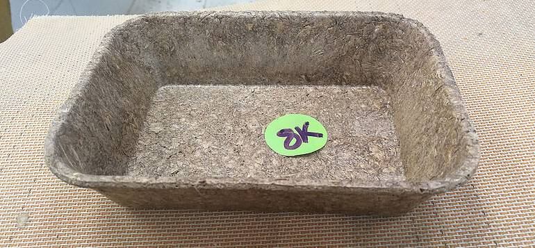 Foto suministrada por Unal