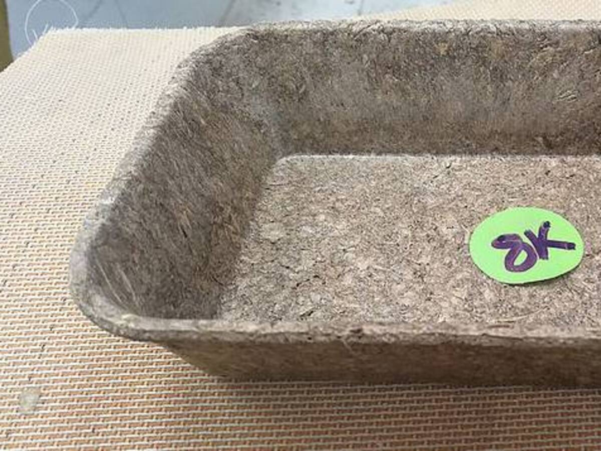 Universitarios desarrollan empaques elaborados con desechos orgánicos