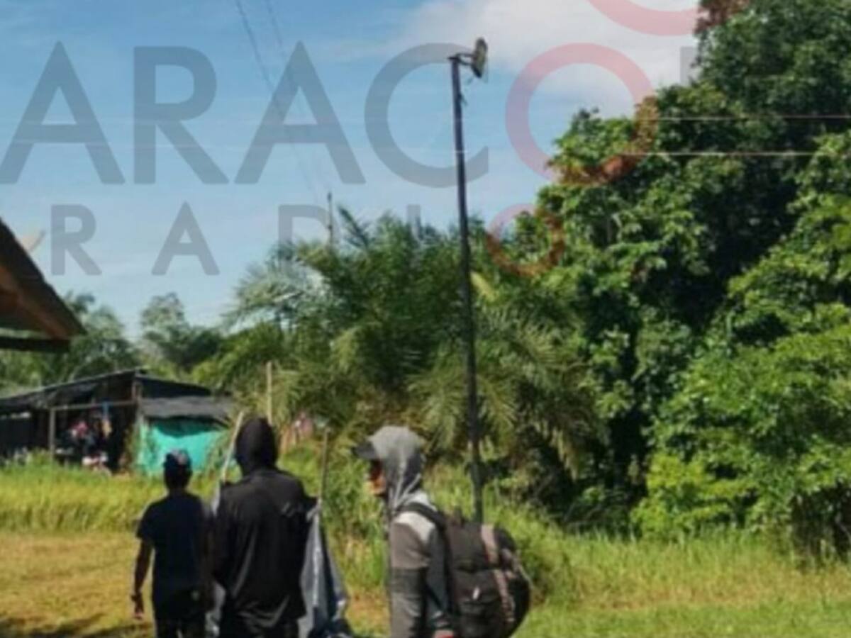 Campesinos cocaleros responden al secuestro de 180 militares en Tibú