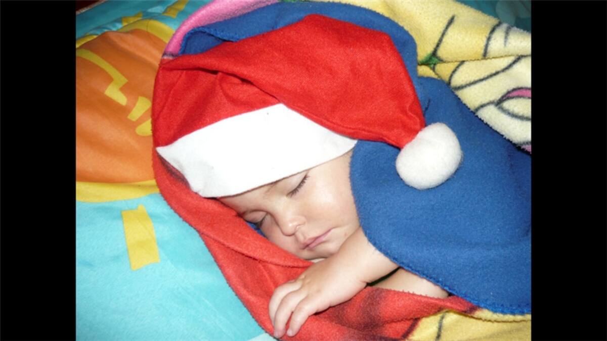 Otros ejemplares de los artesanos de Tlalpujahua.  Foto: Alfredo Leiva