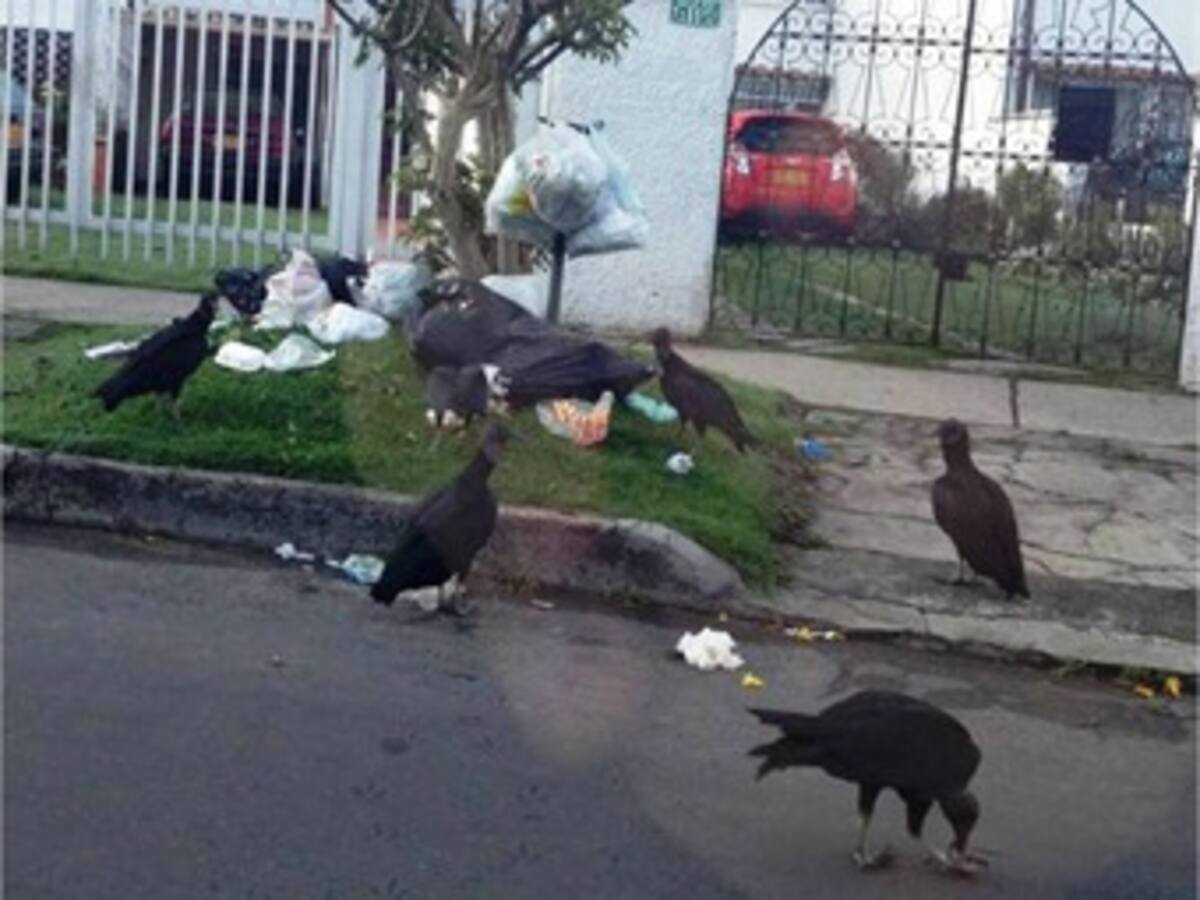 Gran preocupación en la Andi por nuevo esquema de recolección de basuras en Bogotá