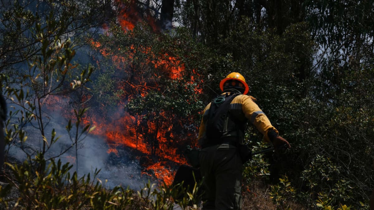 ¿Cuántos incendios activos hay actualmente en el país? Este es el panorama