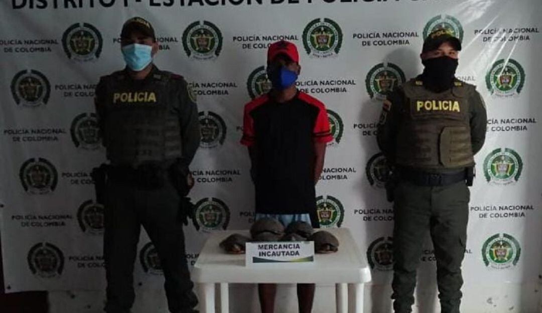 Capturas por aprovechamiento ilícito de los recursos naturales renovables