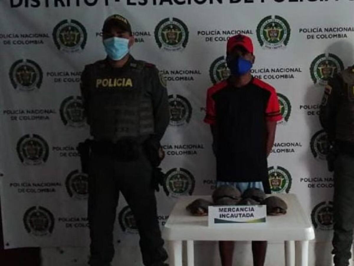 Tres capturados más por aprovechamiento ilícito de los recursos naturales