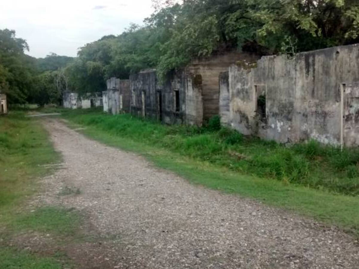 Se logra el primer reencuentro por pruebas de ADN de familiares separados por la tragedia de Armero
