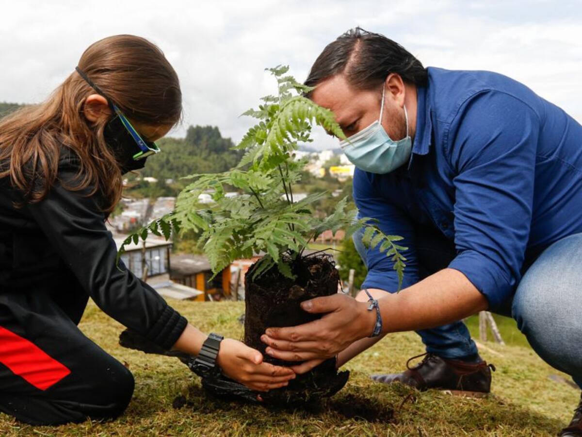 Siembra masiva de árboles por el cumpleaños de Manizales