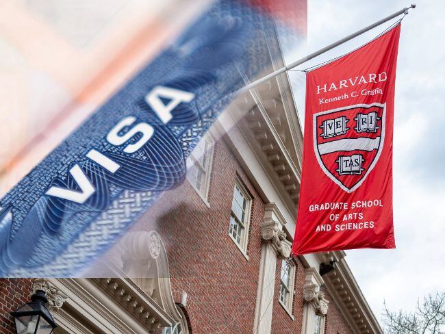 EE. UU. reanuda trámites de visa para estudiantes de Harvard: lo que debe saber
