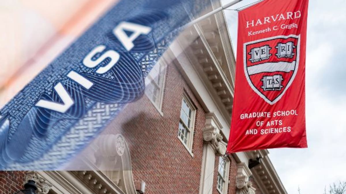 Disminución de visas estudiantiles en EE. UU. del 20%: Colombia, el país de la región más afectado